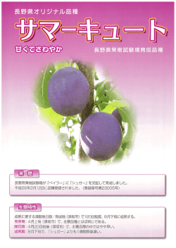 リーフレット