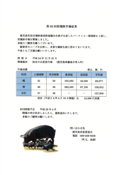 原種豚市場を開催しま した。 多数のご買有うございます。 言語買者の