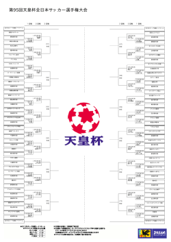 第95回天皇杯全日本サッカー選手権大会