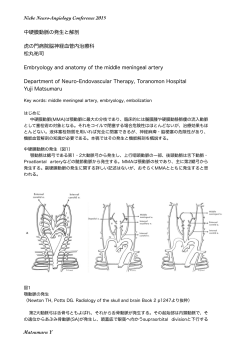 Niche Neuro-Angiology Conference 2015 中硬膜動脈の発生と解剖
