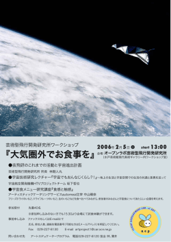 芸術型飛行開発研究所ワークショップ