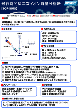 飛行時間型二次イオン質量分析法（PDF形式：632KB）