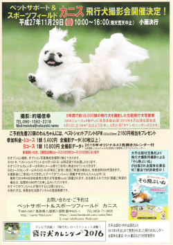 飛行犬＆お遊び写真撮影会2015
