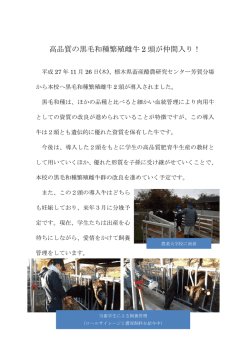 （畜産）高品質の黒毛和種繁殖雌牛2頭が仲間入り！