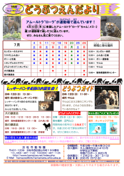 レッサーパンダ4頭のお誕生会！