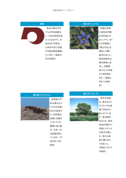 ～熊本県のシンボル～ 県章 熊本の頭文字の 「ク」の字を図案化 し、九州