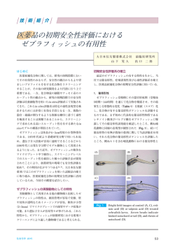 医薬品の初期安全性評価における ゼブラフィッシュの有用性