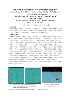 自立 GaN 基板上 p-n 接合ダイオードの初期耐圧不良解析(2)