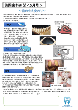 訪問歯科新聞＜5月号＞