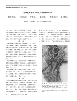 分岐変異を伴った左総頚動脈の  例