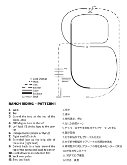 1.常歩 2.速歩 3.伸長速歩、停止 4.左に360度ターン 5.センターまで左手