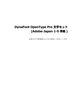 DynaFont OpenType Pro 文字セット(Adobe-Japan 1