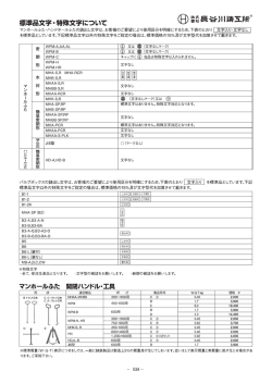 標準品文字・特殊文字について