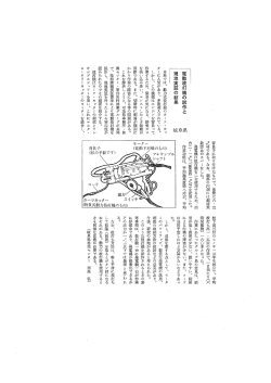電動枝打機の試作と 朝 一 現地実証の結果 岐