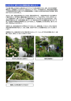西条市内を流れる新町川の外来水草駆除活動に参加