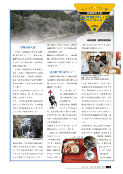 茨城県 大子町 奥久慈だいご 2015年1・2月号 (PDF