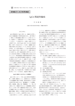 IgG4関連腎臓病