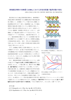 新規超伝導体の母物質CeOBiS 2 における量子臨界