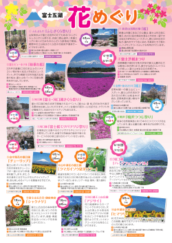 2015富士五湖花めぐり