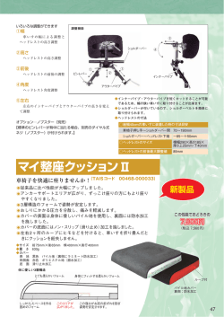 マイ整座クッション