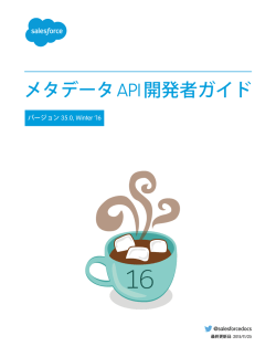 メタデータ API 開発者ガイド