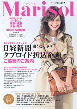 日経新聞 タブロイド折込企画