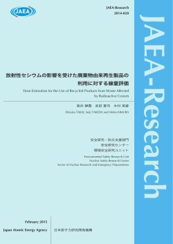 JAEA-Research-2014-028:1.92MB