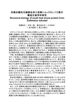 好熱好酸性古細菌由来小型熱ショックタンパク質の 構造生物学的研究