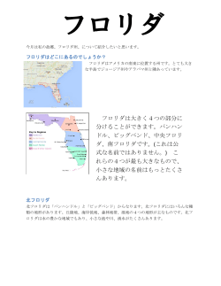 日本語 PDF800KB