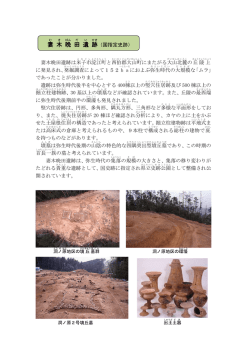 妻 木 晩 田 遺 跡