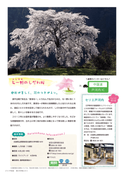 与一野のしだれ桜