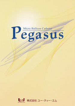 Pegasus - ユー・ティー・エム