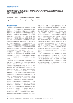 色素体成立の初期過程におけるタンパク質輸送装置の確立と 進化