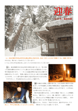 （上：元旦の横手市旧山内村の比叡山神社と筏の大杉。元は一