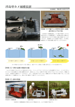 浮島型カメ捕獲装置