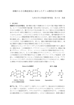 核酸の小さな構造変化に着目したゲノム標的化学の展開