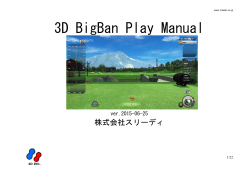3D BigBan Play Manual