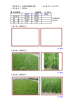 《 圃 場 地 》 久留米市城島町中島 《 品 種 名 》ヒヨクモチ 《 田 植 日