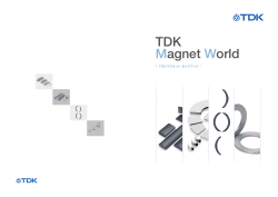 TDK Magnet World