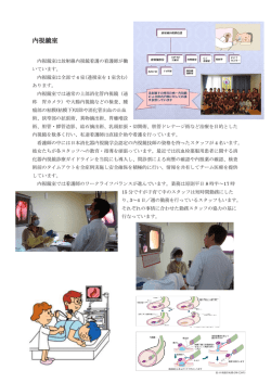 内視鏡室