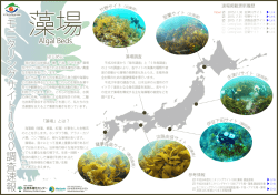 モニタリングサイト1000調査速報