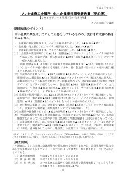 概要版