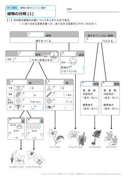 植物の分類 (1)
