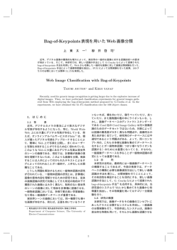 Bag-of-Keypoints表現を用いたWeb画像分類