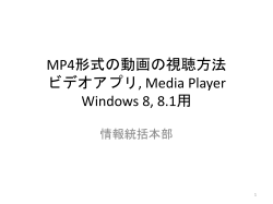 PDF形式(Windows 8, 8.1)