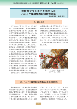 根粒菌フランキアを活用した ハンノキ属緑化木の短期育苗法