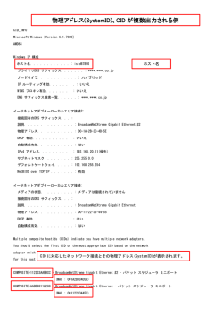 物理アドレス(SystemID)、CID が複数出力される例