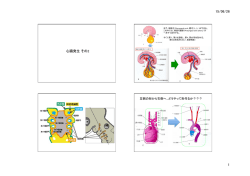 H27医学部発生学(17)：第十三章【】