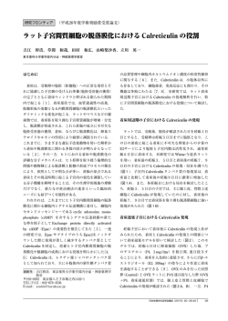 ラット子宮間質細胞の脱落膜化における Calreticulin の役割