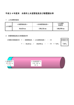 平成24年度末